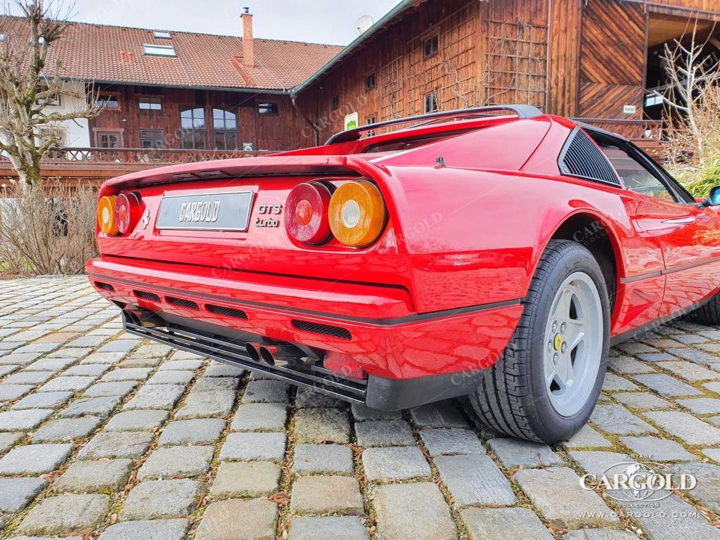 Cargold - Ferrari GTS Turbo - Classiche Certified  - Bild 14
